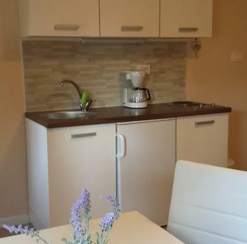 Lea Διαμέρισμα Kastav